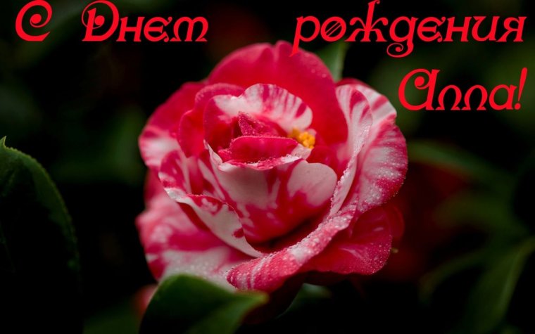 С днём рождения Алла открытки