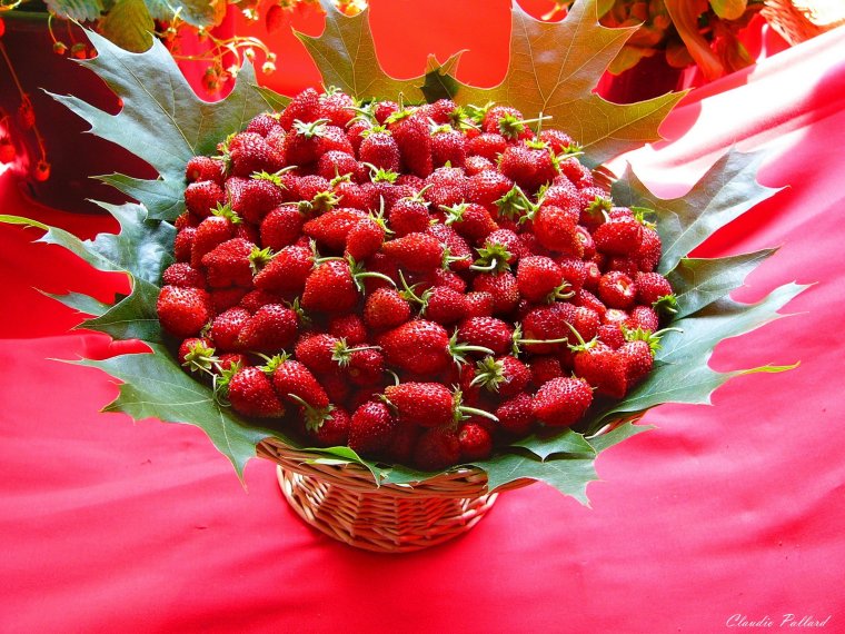 Баба Ягодка опять