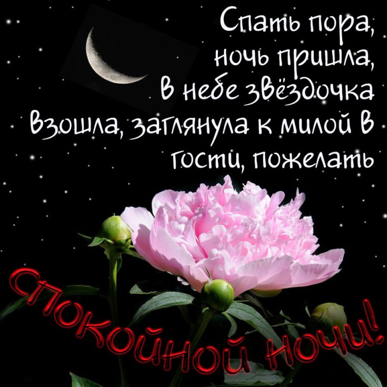 Прикольные пожелания спокойной ночи