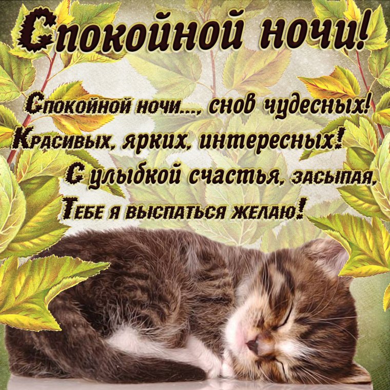 Красивые пожелания спокойной ночи