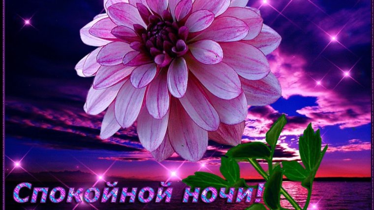 Стихи спокойной ночи