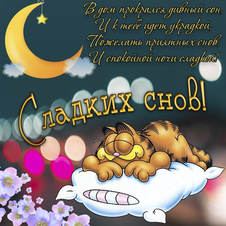 Спокойной ночи сладких снов