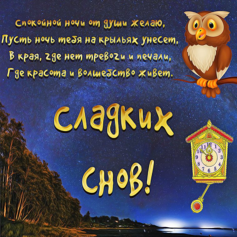 Прикольные пожелания спокойной ночи