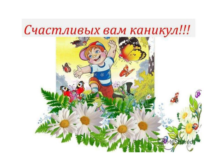 Летние каникулы