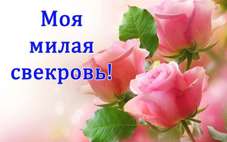 С днём рождения свекрови