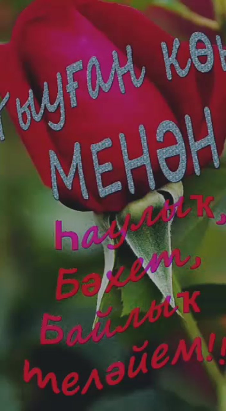 Аятел Корси