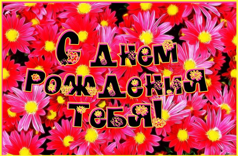 Поздравления с днём рождения Ольге