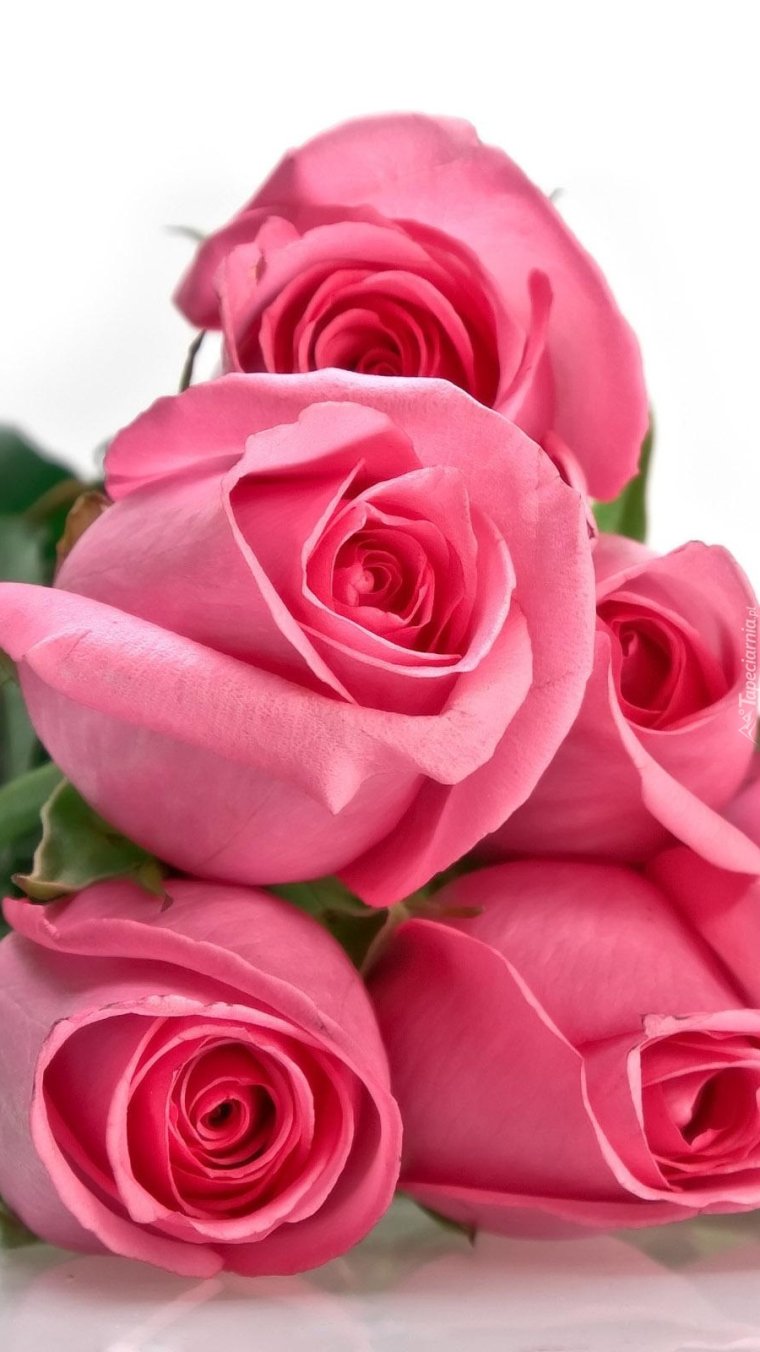 С днем рождения