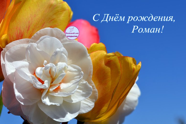 С днём рождения Роман