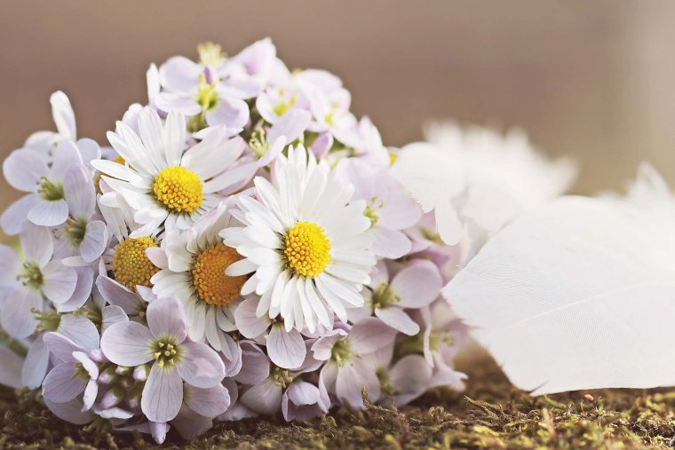 День ангела