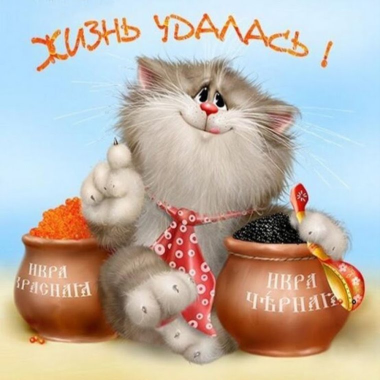 Открытки с днём рождения мужчине с котами