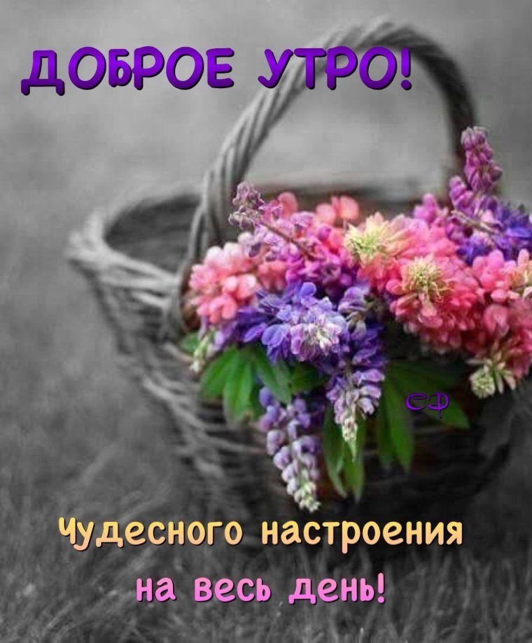 Сказочные цветы с пожеланием доброго утра