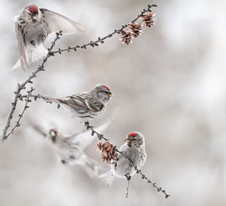 Открытка Божьего благословения на день