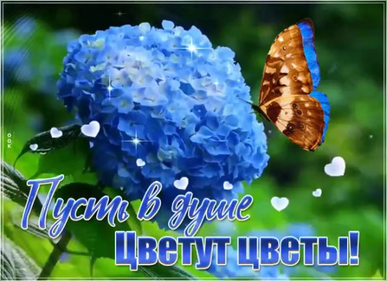 Благословенного утра и прекрасного дня