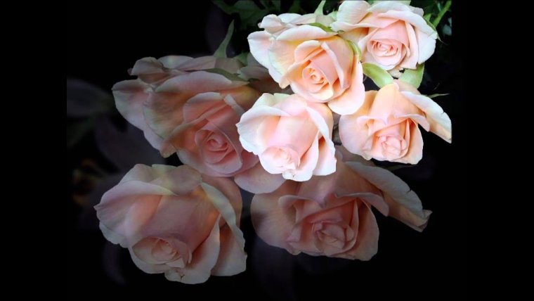 Пожелание благословения Божьего