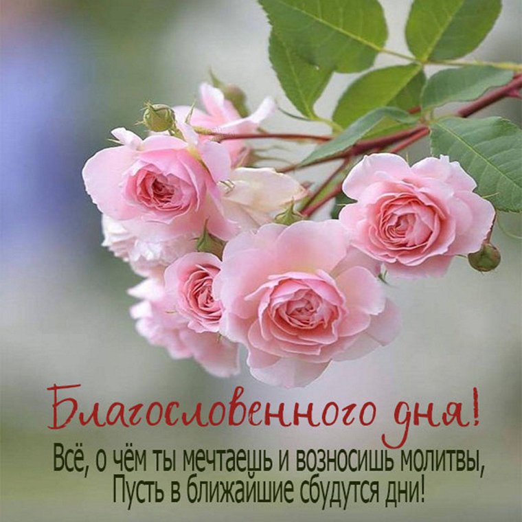 Доброе утро здоровья и счастья