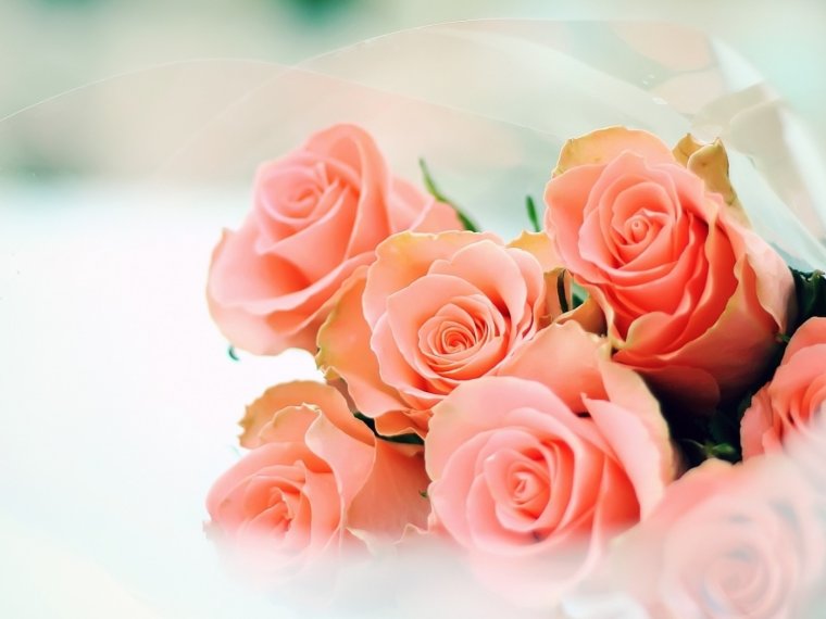 С днём рождения Виталий