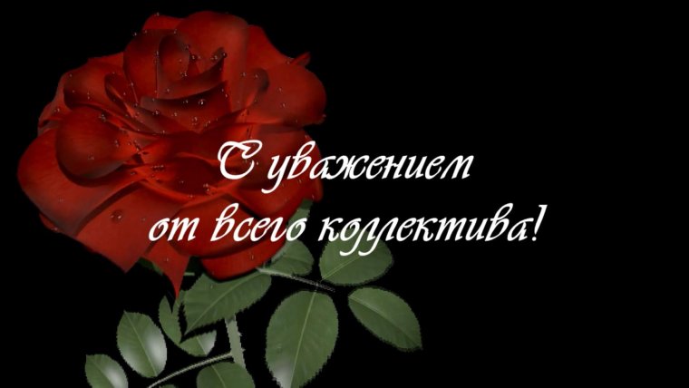 Поздравления с днём рождения женщине руководителю