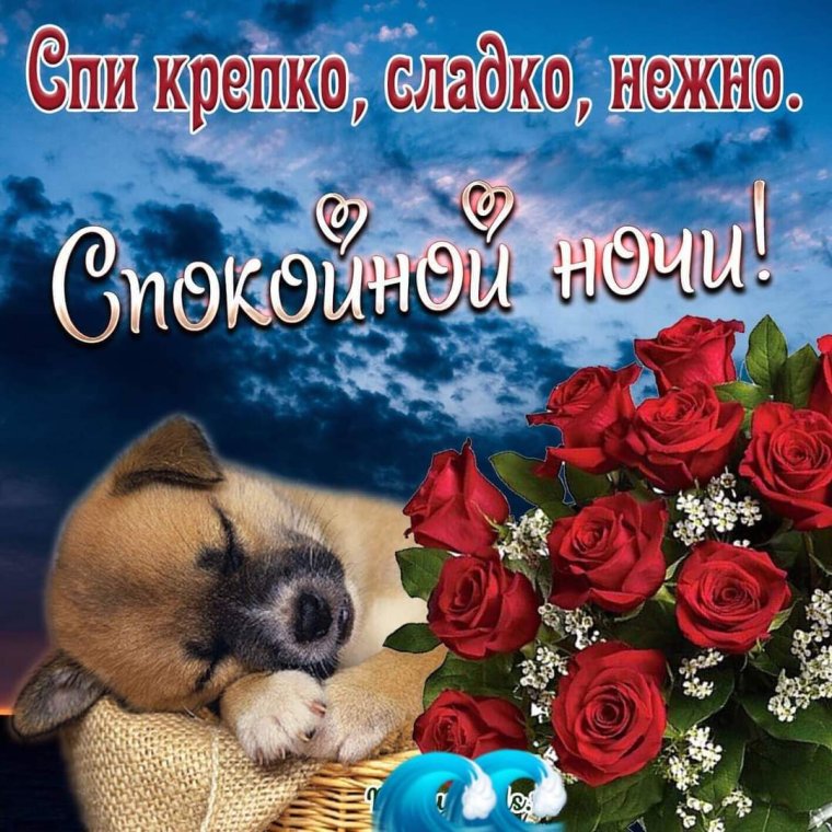 Пожелания спокойной ночи женщине красивые