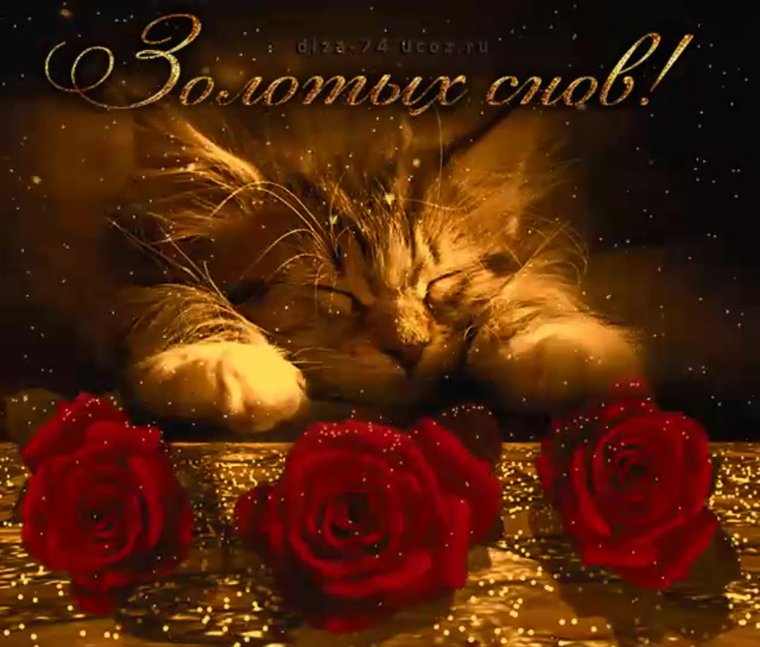 Волшебных снов мужчине любимому