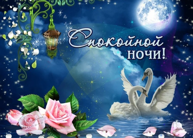 Пожелания спокойной ночи любимому