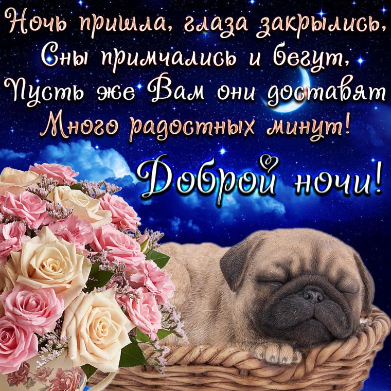 Лебеди ночью