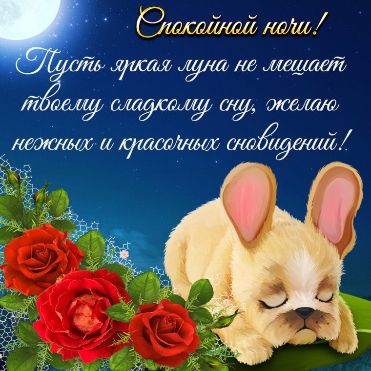 Открытки спокойной ночи