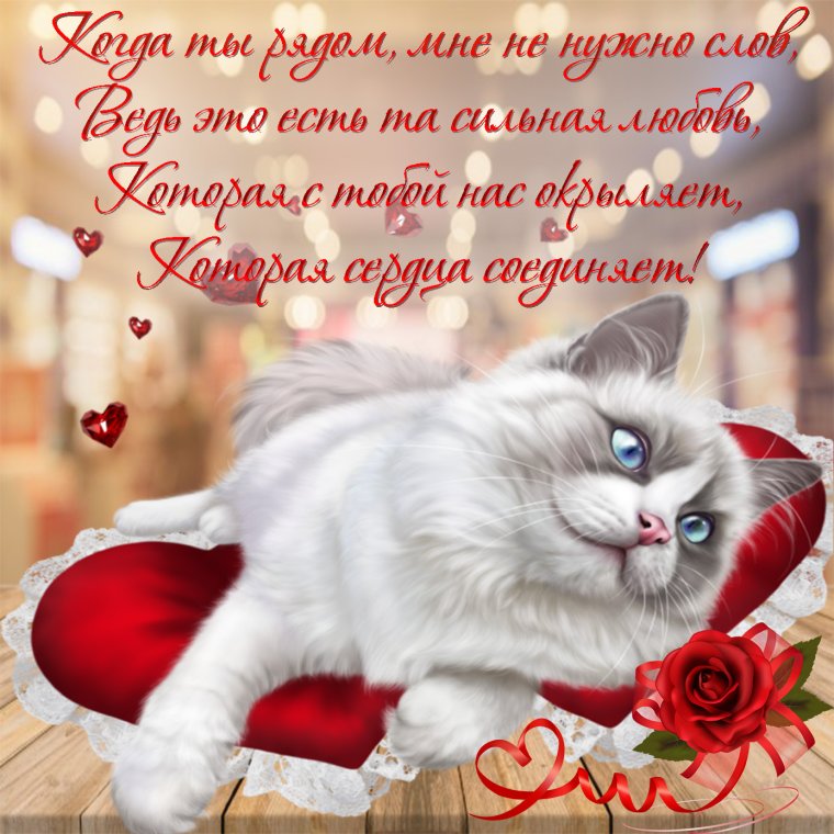 С днемирождения любимая