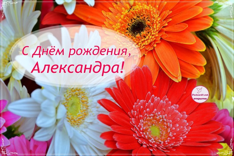 Алескандр с днём рождения