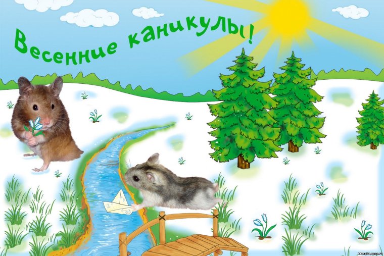 Каникулы в кинотеатре