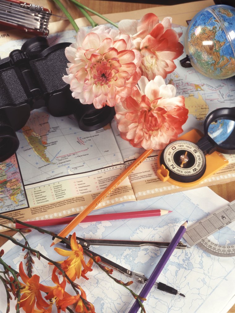 Школьная доска Глобус