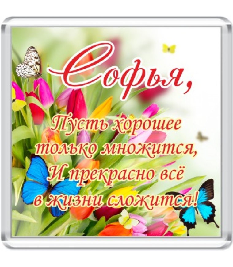 С днём рождения Софья