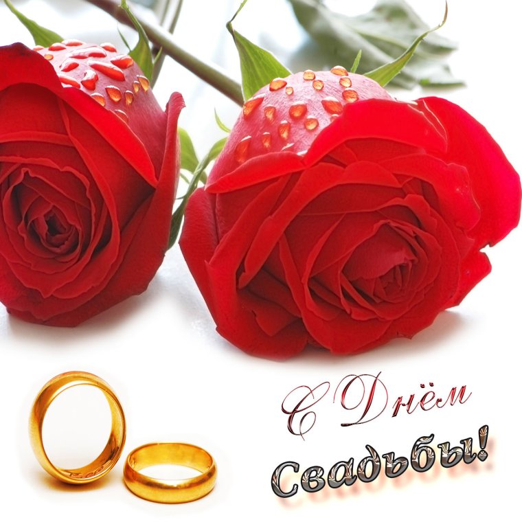 41 Годовщина свадьбы