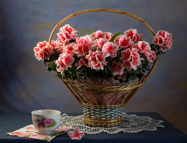 Открытка "Людмиле"