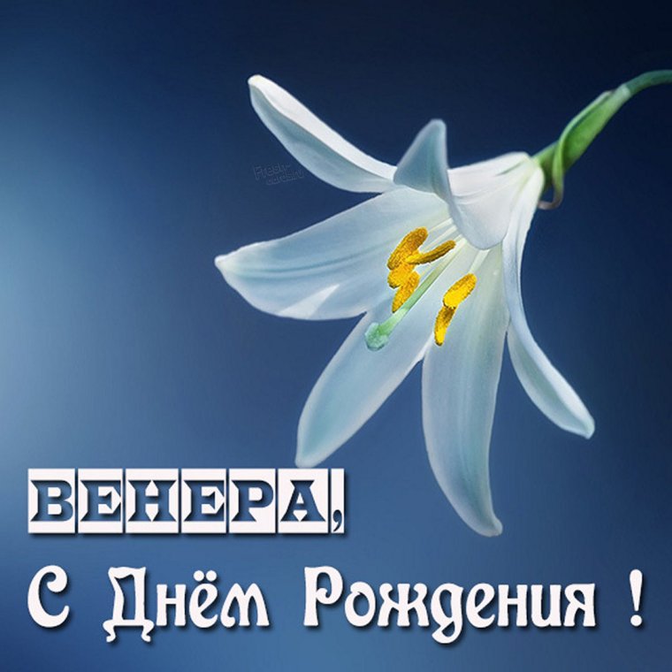 Открытка с днём рождения