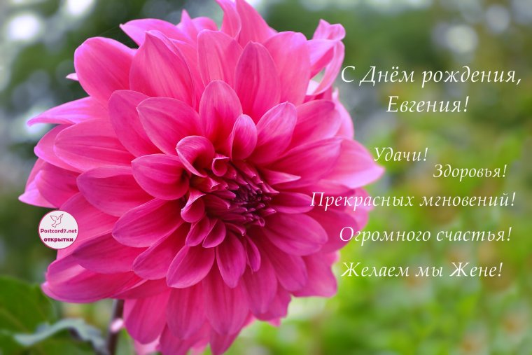 Поздравления с днём рождения женщине