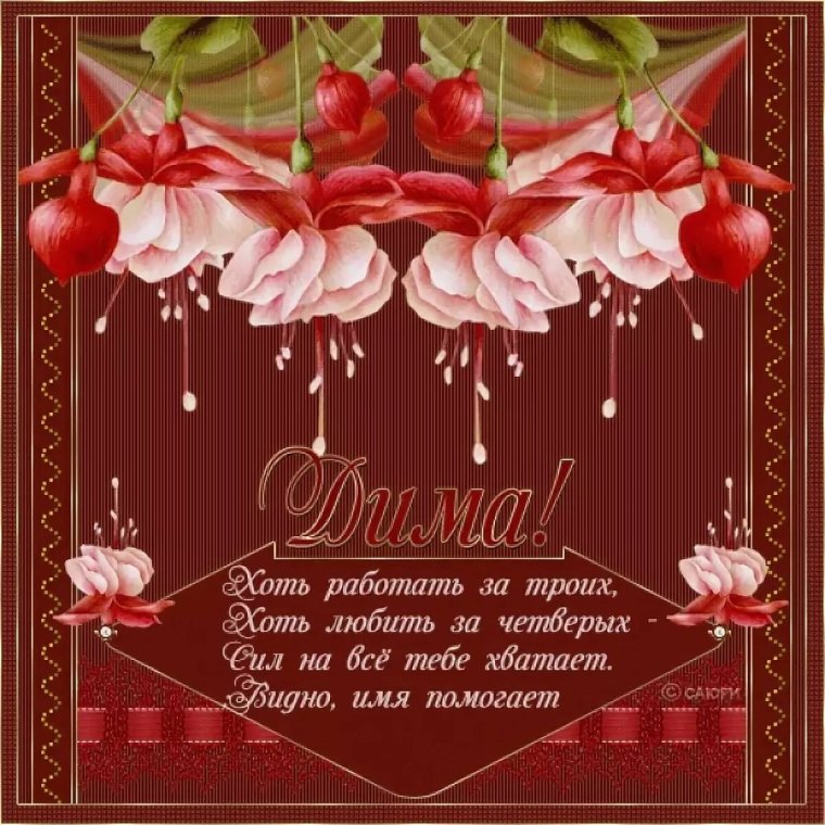 Поздравление Димы с днем рождения