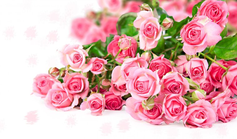 Открытки с розами