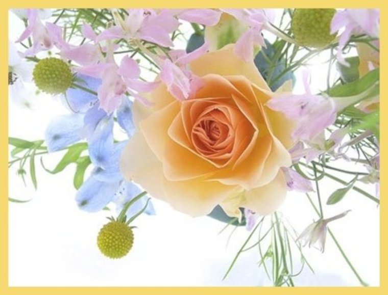 Цветы поздравления