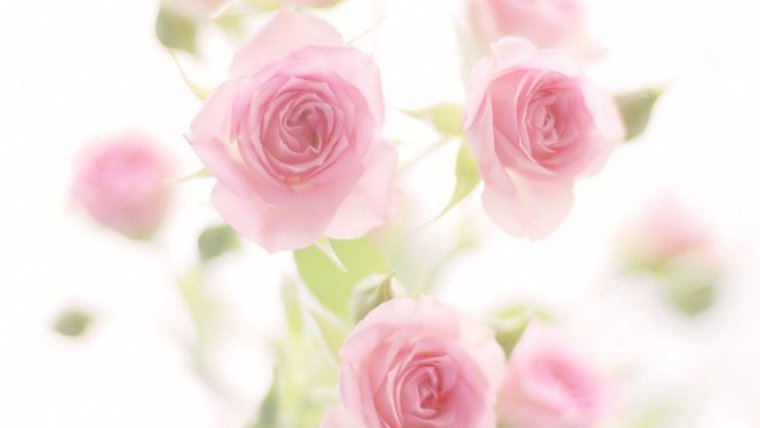 Открытки с днём рождения женщине без слов