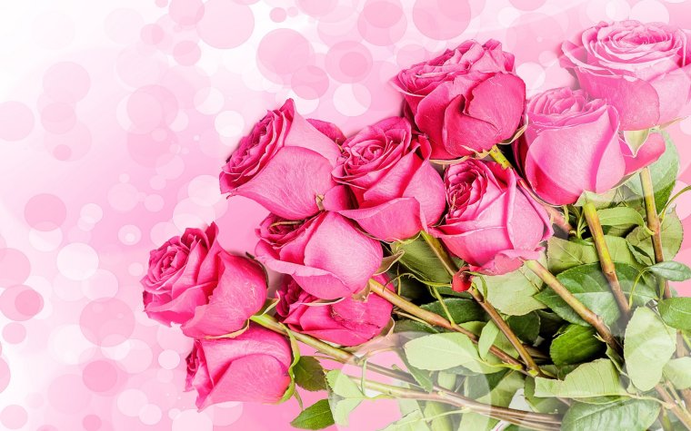Розы фон