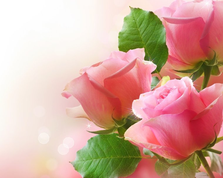 Поздравление с первой годовщиной свадьбы