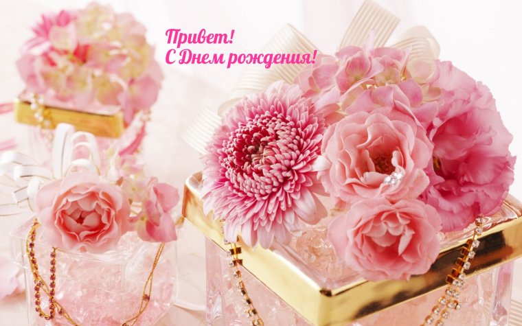 Цветы красивые нежные Роскошные
