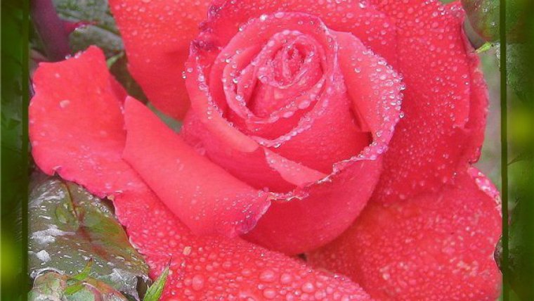 Поздравление с днем рождения творческому человеку