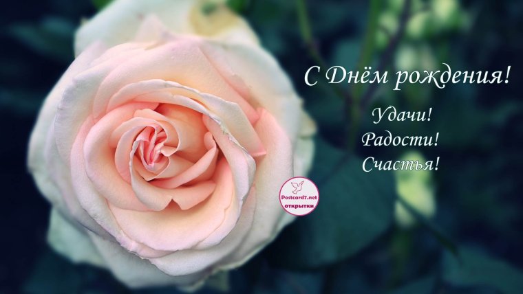 Поздравить надежду с днем рождения