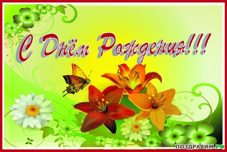 Цветы белые розы