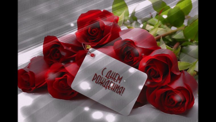 С днем рождения