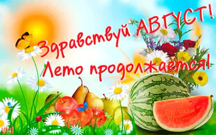 Открытки с Августом