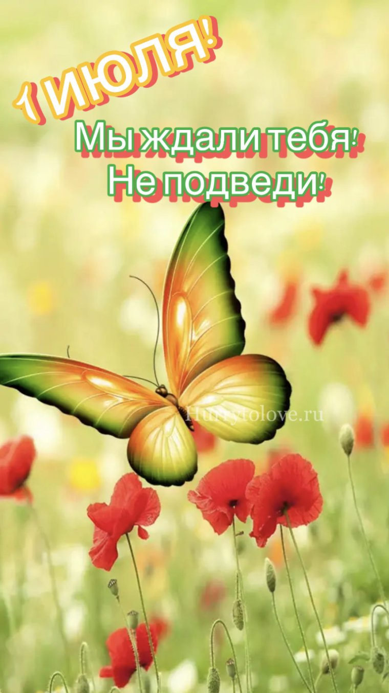 С 1 июля картинки