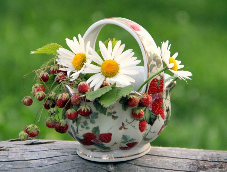 Букет ромашек с васильками